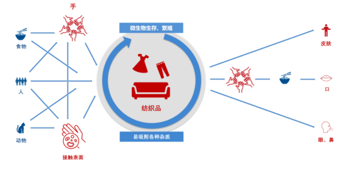 病菌通過雙手和紡織品的傳播途徑.png